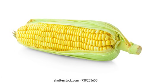 Corn On A White Background