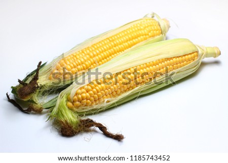 Similar – fresh ripe corn cobs Food