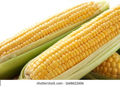 Download Corn Yellow Images Stock Photos Vectors Shutterstock Yellowimages Mockups