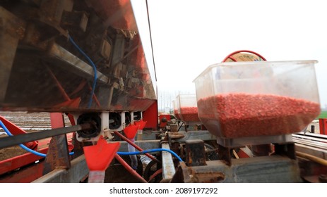 Corn Planter In The Field, North China