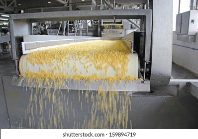 Corn processing factory, food industry