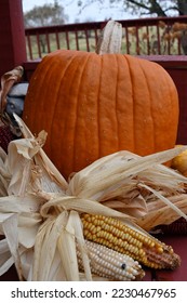 Corn and pumpkin on a bench