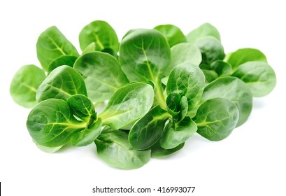 Corn Salad,lamb's Lettuce Isolated On White 