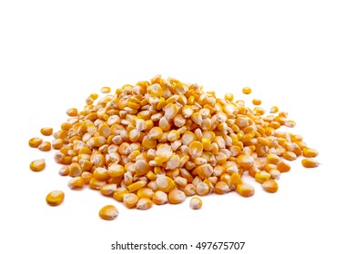 Corn Seed Or Maize, Dry Corn In The Field Of Farmland Isolated On White Background