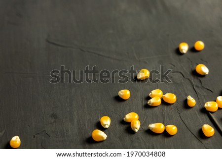 Similar – Image, Stock Photo manufacturing paper-luang prabang-laos