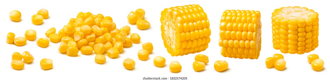 Corn set isolated on white background. Kernels and sliced cobs. Package design element with clipping path