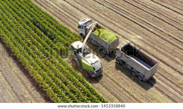 Corn for Silage - Combine\
harvesting and loading silage onto a double trailer truck, Aerial\
image.