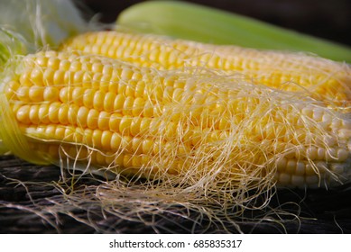 Corn Silk Close Up.