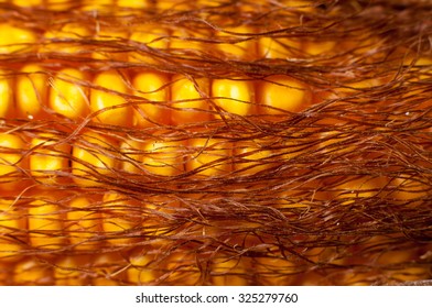 Corn Silk Macro Closeup.