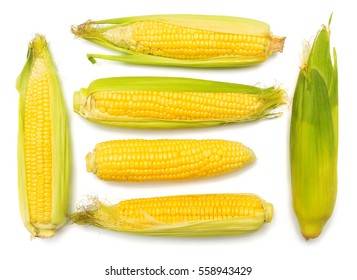 Corn with skin or without skin isolated on white background. A collection of corn. Top view, flat