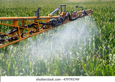 Corn Spraying