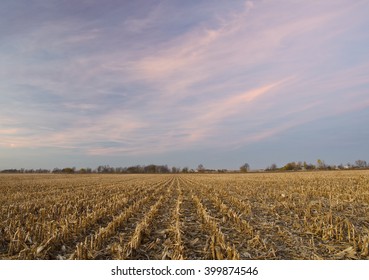 Corn Stubble Is All That Remains From The Preceding Year's Crop On An Indiana Farm In Benton County