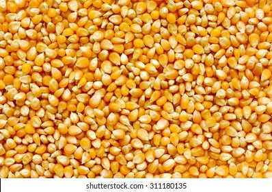 Corn Sweet, Background