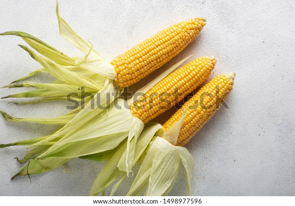 Corn Three Pieces Vintage Yellow Natural Stock Photo (Edit Now) 1498977596