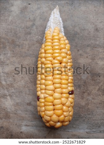 corn is use for making popcorn.corn is use for another to feed the animal and human.