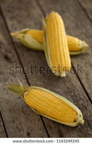 Similar – fresh ripe corn cobs Food