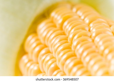 Corncob closeup
