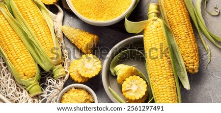 Corncobs and corn groats on gray background. Harvest food concept. Top view, flat lay, copy space