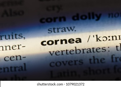 Cornea Word In A Dictionary. Cornea Concept