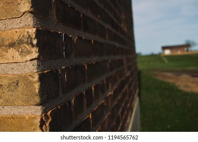 Corner of a Brick Wall