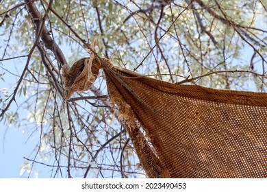 The Corner Of The Fabric Awning For Protection From The Sun Tied To A Tree