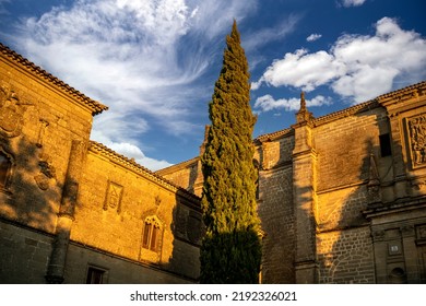 Corner Of The Plaza De Santa Maria With A Palace And The Cathedral Of Baeza In The Background, A Cypress, Sky And Clouds At Sunset