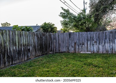 Corner Of Private Wooden Plank Fence With Black Mold In Front Yard Or Backyard With Green Grass Lawn At Sunset In Naples, Florida