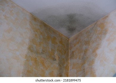 corner of room, dilapidated walls and wet ceiling, gray mold on plaster, concept destruction of buildings from dampness, neighbors flooded roof leaks, Low Income Neighborhoods, emergency housing - Shutterstock ID 2181899475