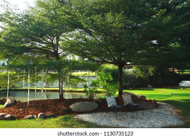 Corner sitting in the garden under the tree near  the pond. - Shutterstock ID 1130735123