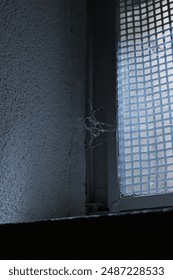 a corner with a web in the dark basement