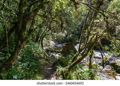 Corners Of The Santa Clara River In Rumiñahui Canton, Pichincha