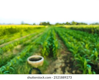 Cornfield blur. Corn grows well in the bright morning. In the field there is a well to water the corn. - Powered by Shutterstock