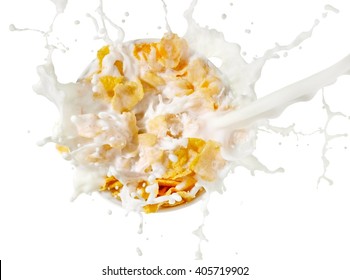 Cornflake With Milk Splash, Top View