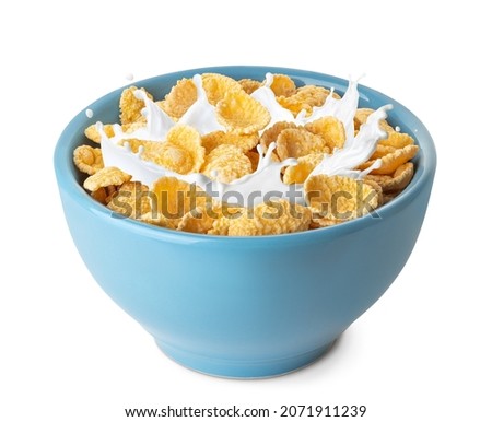 cornflakes in blue bowl. Breakfast cereal with splashing milk isolated on white background