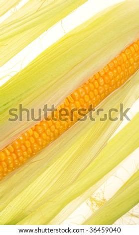 Cornon a white background