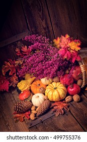 Cornucopia
