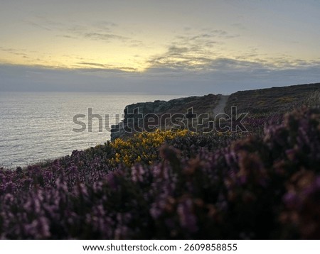 Cornwall cliff top sunset view 