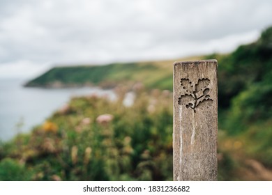 Cornwall Coast Path With A View