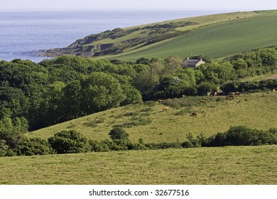 Cornwall Coastal Countryside