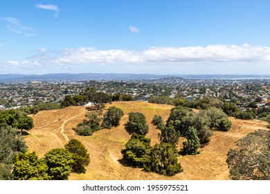 Cornwall Park At Auckland - New Zealand