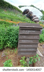 Cornwall, UK - July 2019: Eden Project Beehive