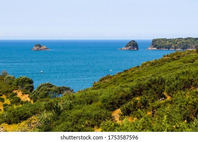 Coromandel, Coast Of New Zealand, Pacific Ocean