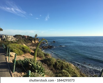 Corona Del Mar Beach At Little Corona 