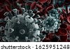 bacteria virus
