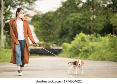 Coronavirus. Asian Woman With Face Mask And Takes His Dog For A Walk,  Lockdown. Quarantine.