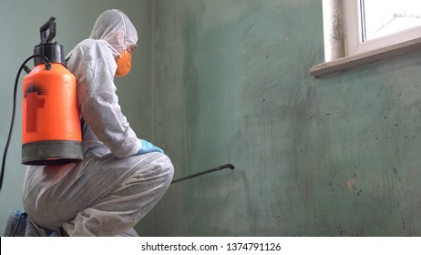 Coronavirus disinfectant spray. Mould and Mildew Remover, Killer and Cleaner Concentrate Spray. Removing black stains caused by mould and fungus - Shutterstock ID 1374791126