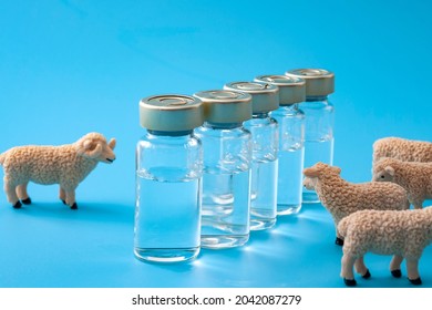 Coronavirus Herd Immunity, Covid-19 Community Immunization And Vaccination Against Contagious Spread Concept With Sheep And Vaccine Vials Isolated On Blue Background