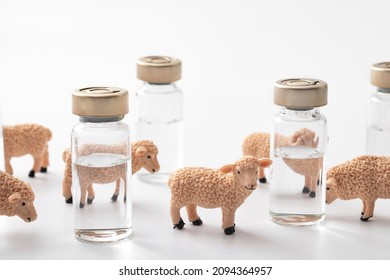 Coronavirus Herd Immunity, Covid-19 Community Immunization And Vaccination Against Contagious Spread Concept With Sheep And Vaccine Vials Isolated On White Background