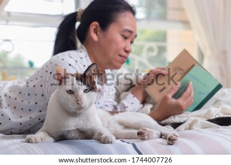 Coronavirus quarantine,Isolation. Woman relaxing at home, playing with a cat. Concept of activity to relax when having to stay at home.
