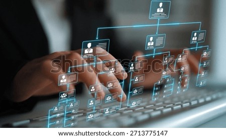 Corporate org chart and team structure show hierarchy, team, and structure for clear organization, management, and operational planning Marrow